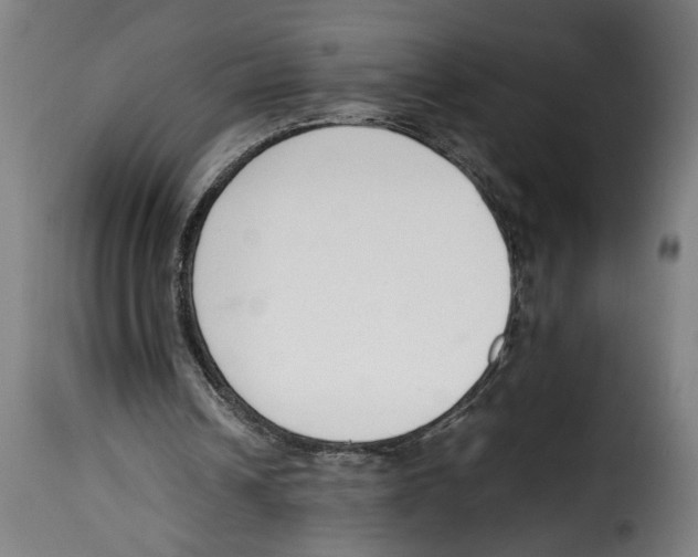 X0000115000242200911231211