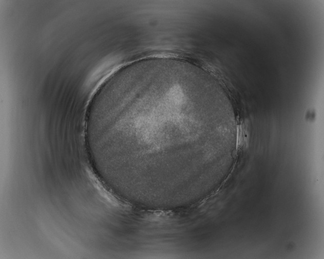 X0000115000243200911231211