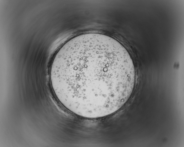 X0000115000245200911231211