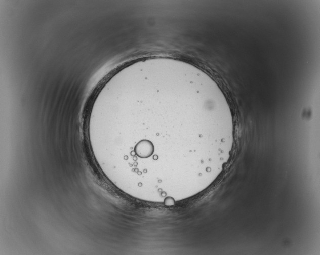 X0000115000246200911231211