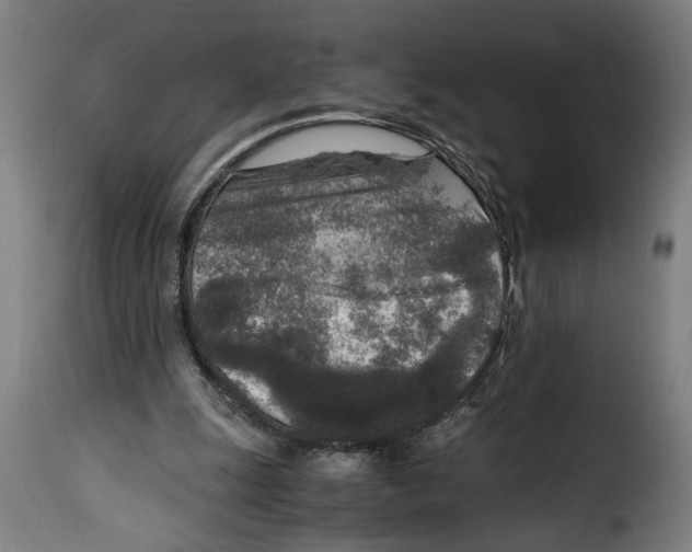 X0000115000247200911231211