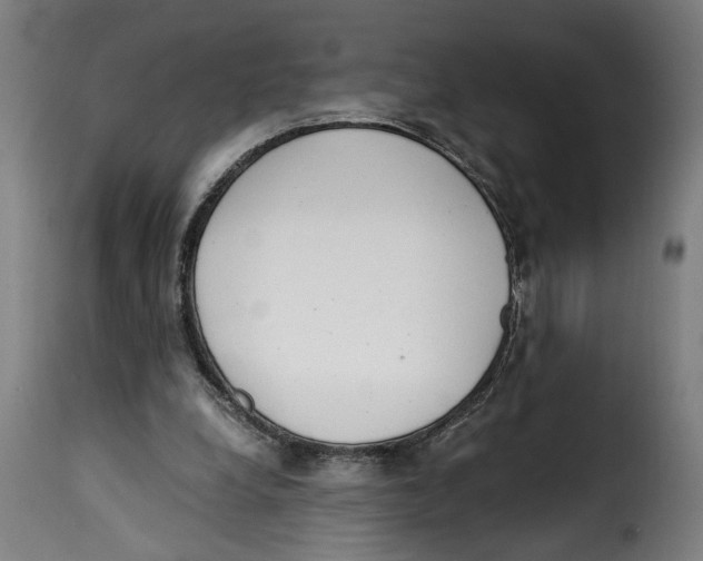 X0000115000248200911231211