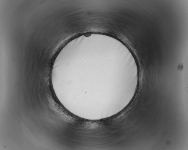 X0000115000249200911231211