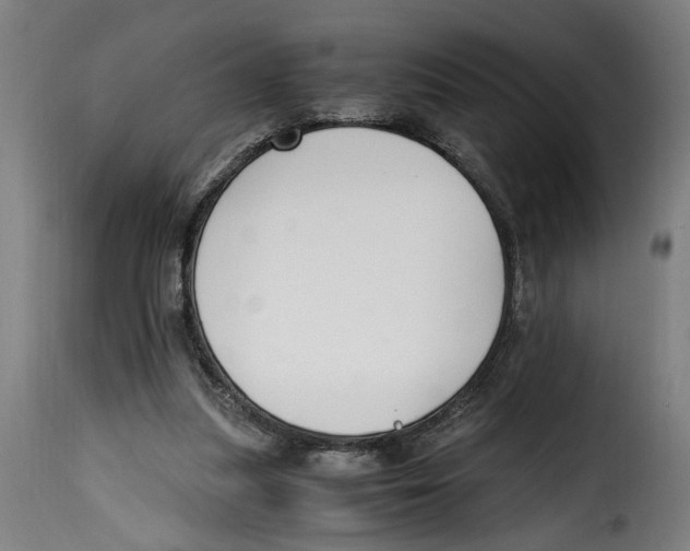 X0000115000251200911231211