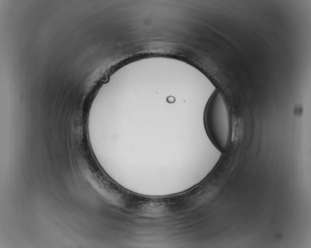 X0000115000252200911231211