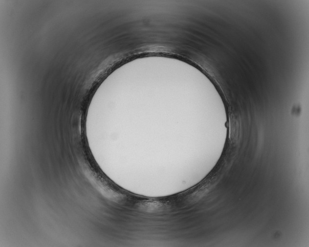 X0000115000253200911231211