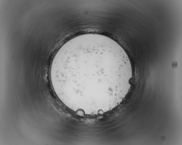 X0000115000255200911231211