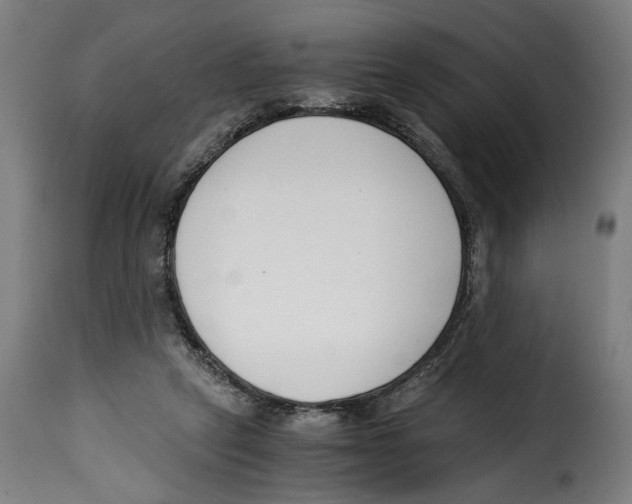 X0000115000257200911231211