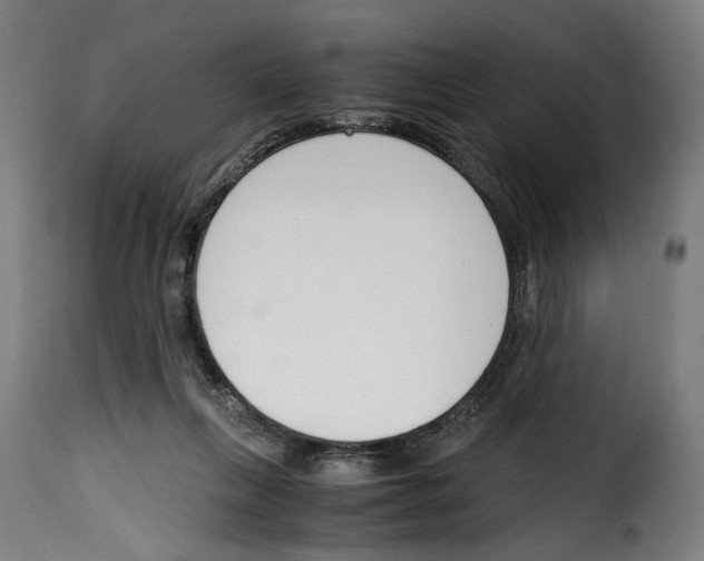 X0000115000263200911231211