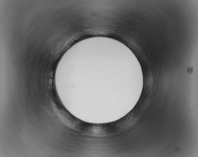 X0000115000264200911231211