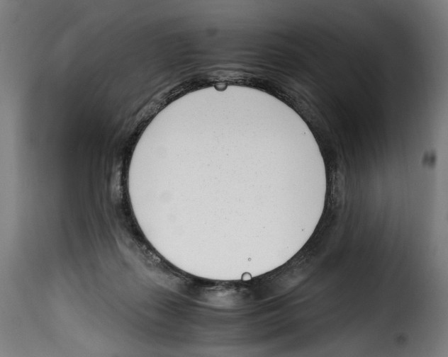 X0000115000267200911231211