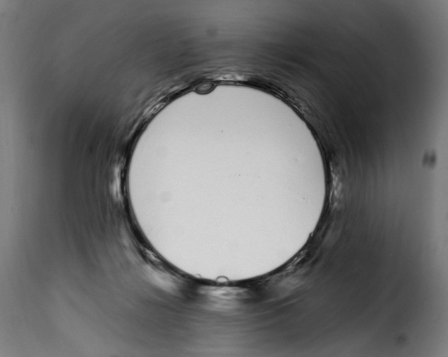 X0000115000268200911231211