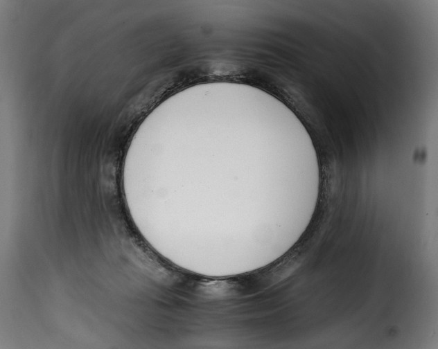 X0000115000269200911231211