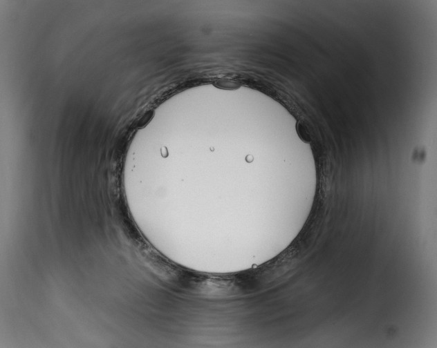 X0000115000270200911231211