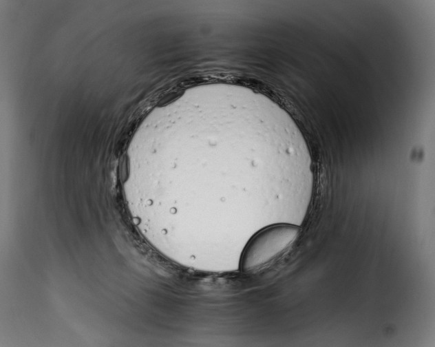 X0000115000271200911231211