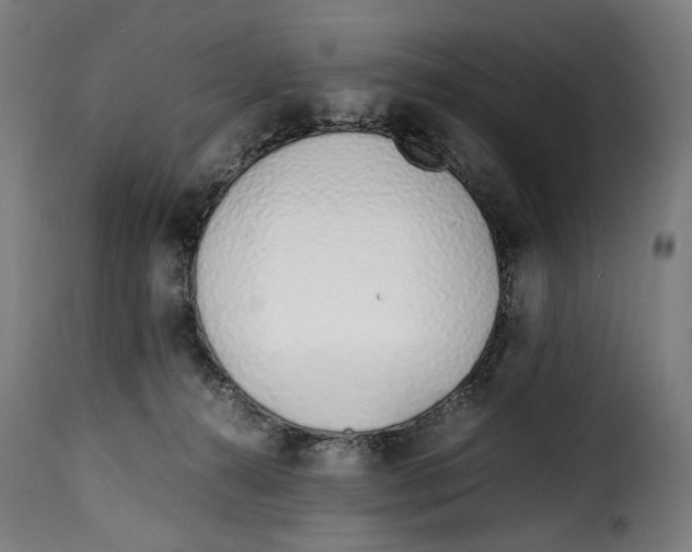 X0000115000272200911231211