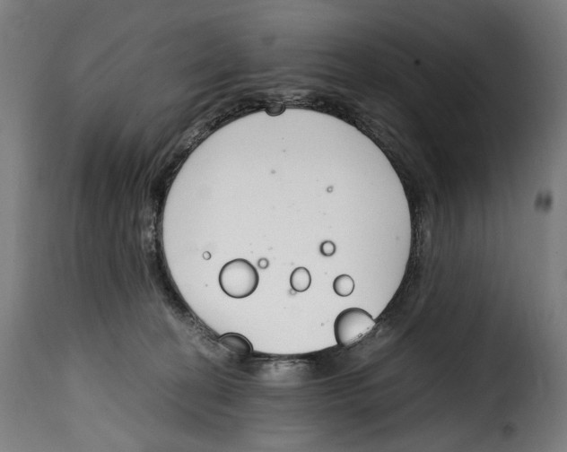 X0000115000274200911231211