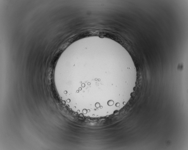 X0000115000275200911231211