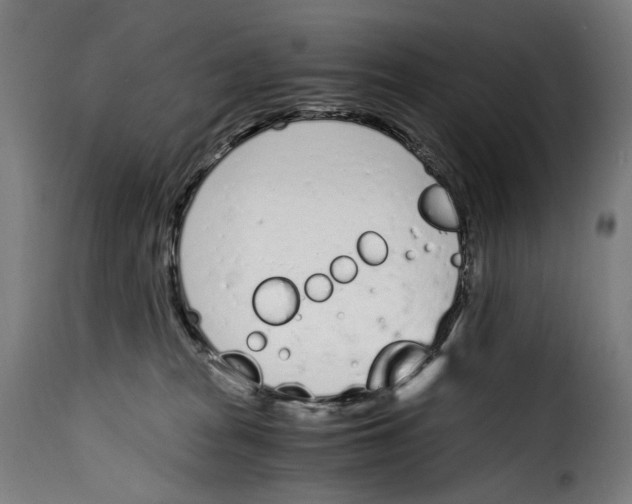 X0000115000277200911231211