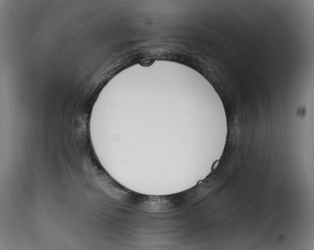 X0000115000278200911231211