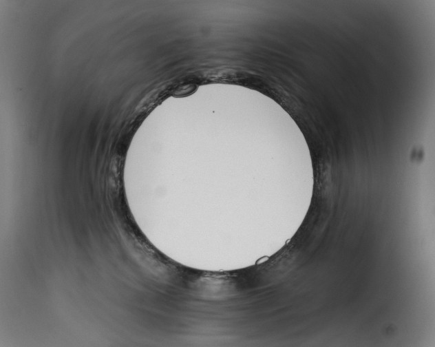 X0000115000280200911231211