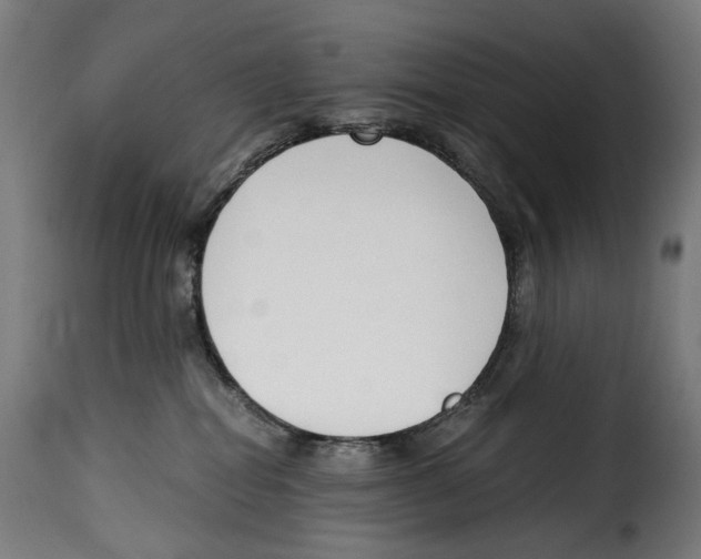 X0000115000282200911231211