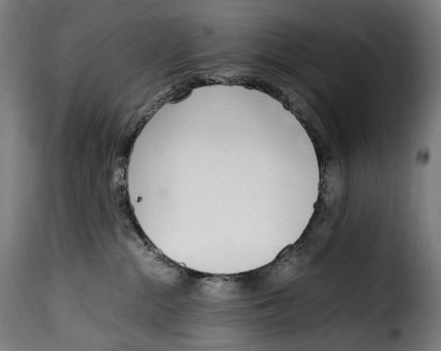 X0000115000284200911231211