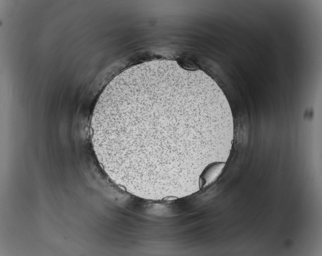 X0000115000285200911231211