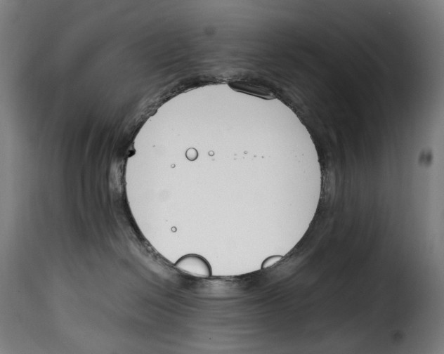 X0000115000286200911231211