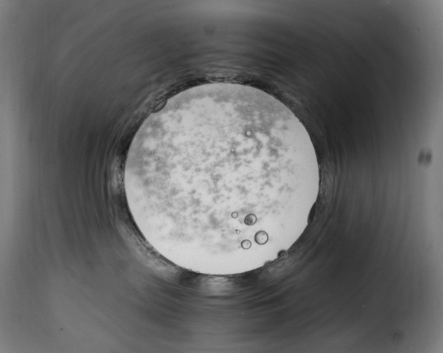 X0000115000287200911231211