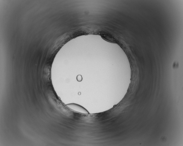 X0000115000288200911231211