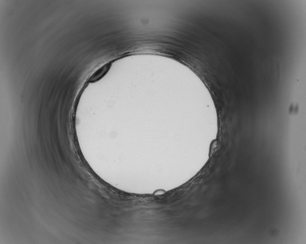 X0000115000289200911231211