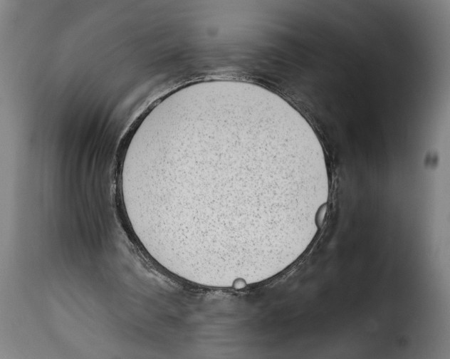 X0000115000290200911231211