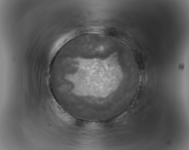 X0000115000293200911231211