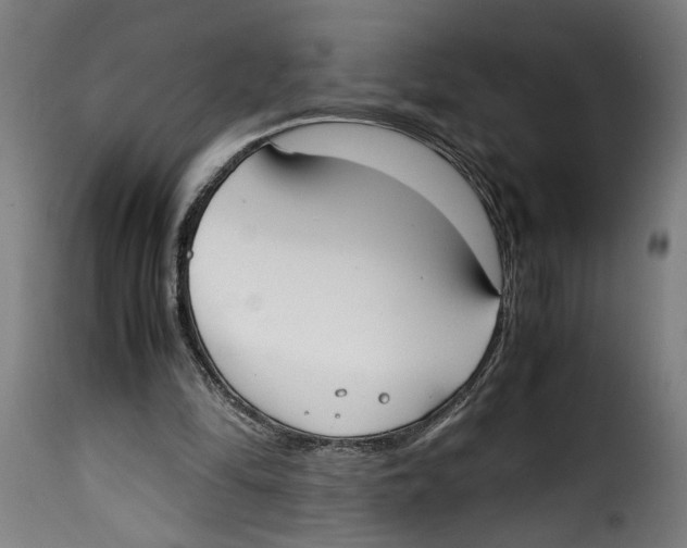 X0000115000294200911231211