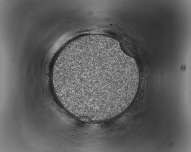 X0000115000295200911231211