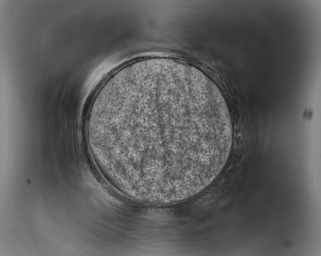 X0000115000296200911231211