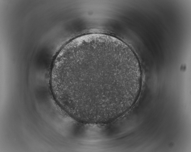 X0000115000297200911231210