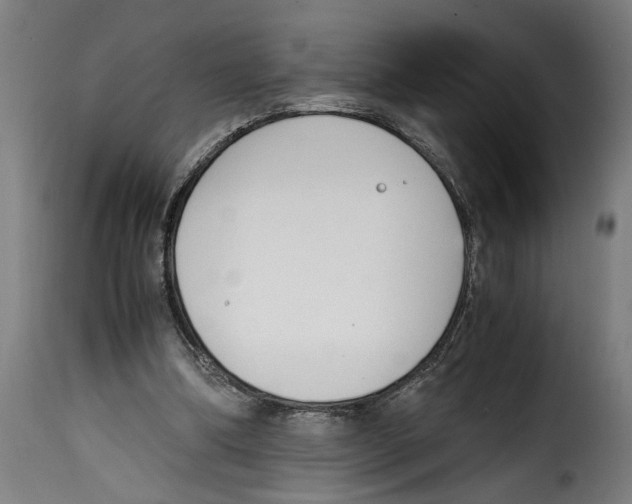 X0000115000298200911231210