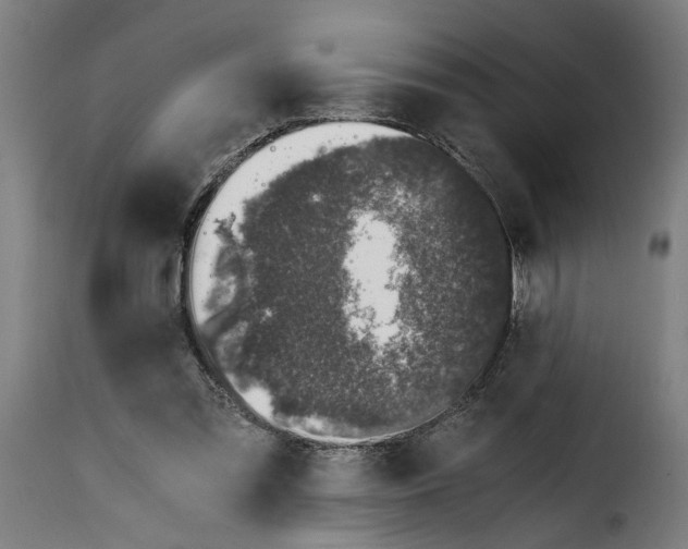 X0000115000301200911231210