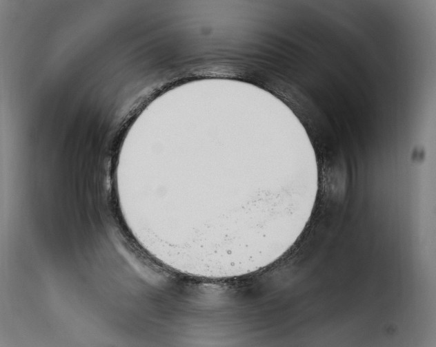 X0000115000302200911231210