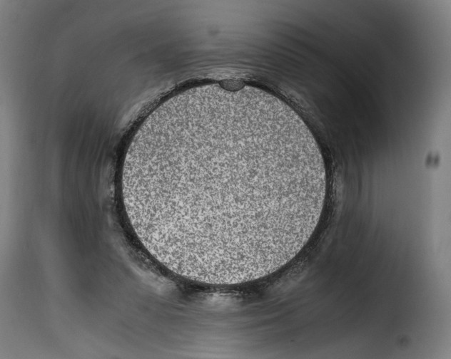 X0000115000303200911231210