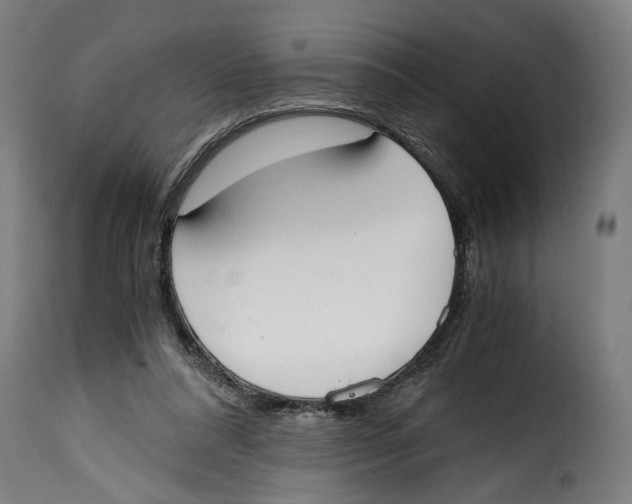 X0000115000304200911231210