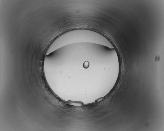 X0000115000305200911231210