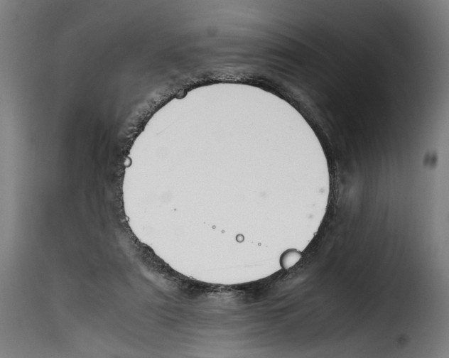 X0000115000307200911231210