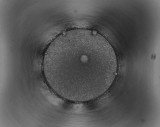 X0000115000309200911231210