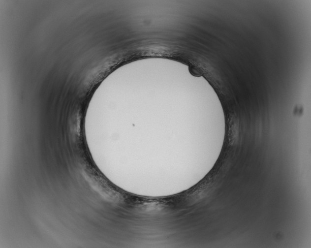 X0000115000310200911231210