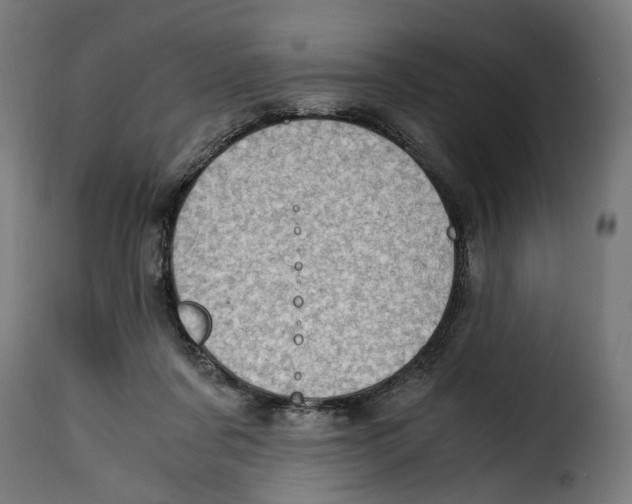 X0000115000311200911231210