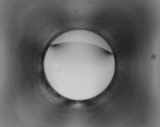 X0000115000312200911231210