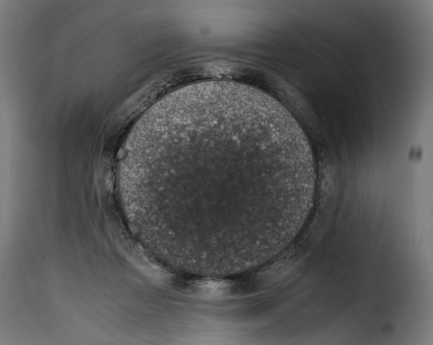 X0000115000313200911231210